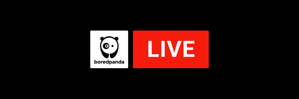 Repurpose Youtube Live on Bored Panda
